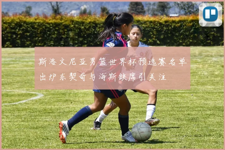 斯洛文尼亚男篮世界杯预选赛名单出炉东契奇与海斯缺席引关注