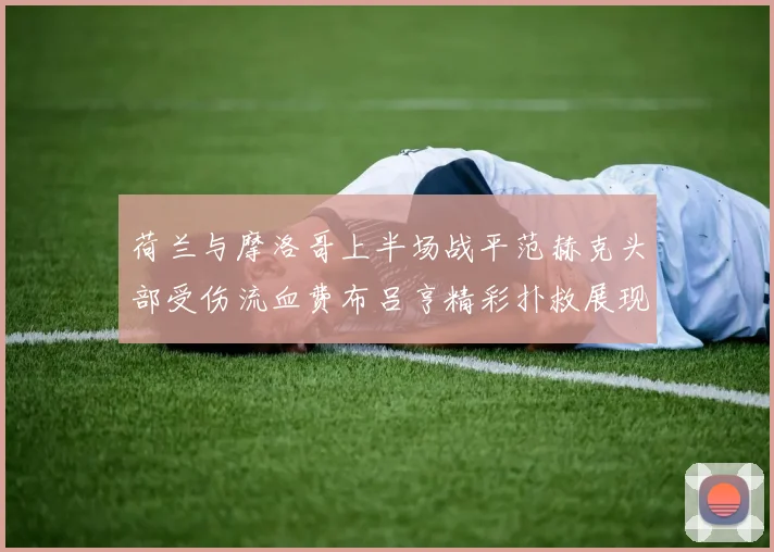 荷兰与摩洛哥上半场战平范赫克头部受伤流血费布吕亨精彩扑救展现实力